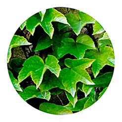 Allzweck-Abdeckplane 