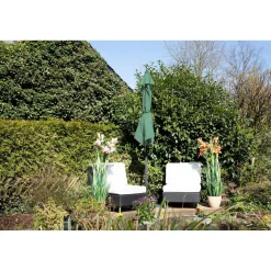 Ampel-Sonnenschirm Greenday grün