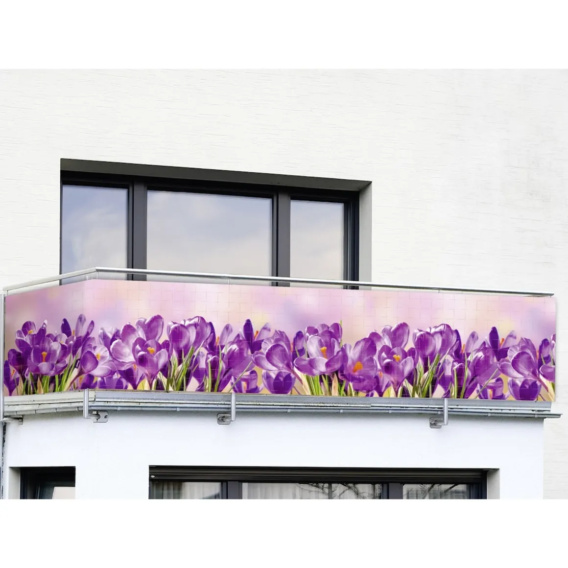 Balkon-Sichtschutz Krokusse