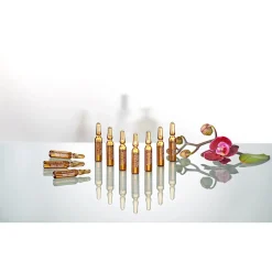 Bio-Vital "Schwarze Orchidee"