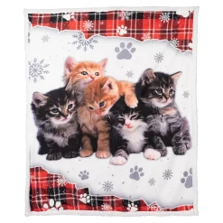 Kuscheldecke „Katzen-Kindergarten“