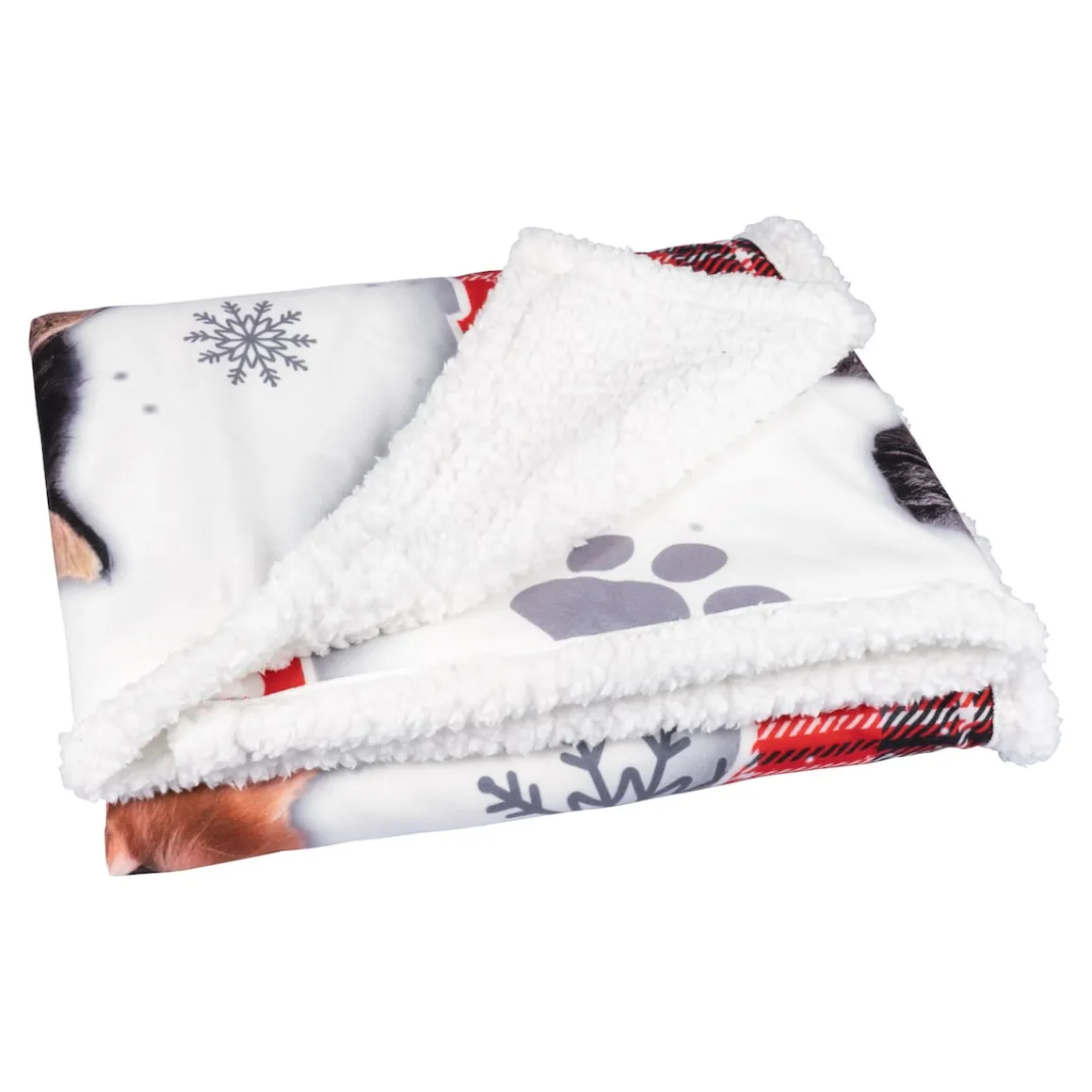 Kuscheldecke „Katzen-Kindergarten“