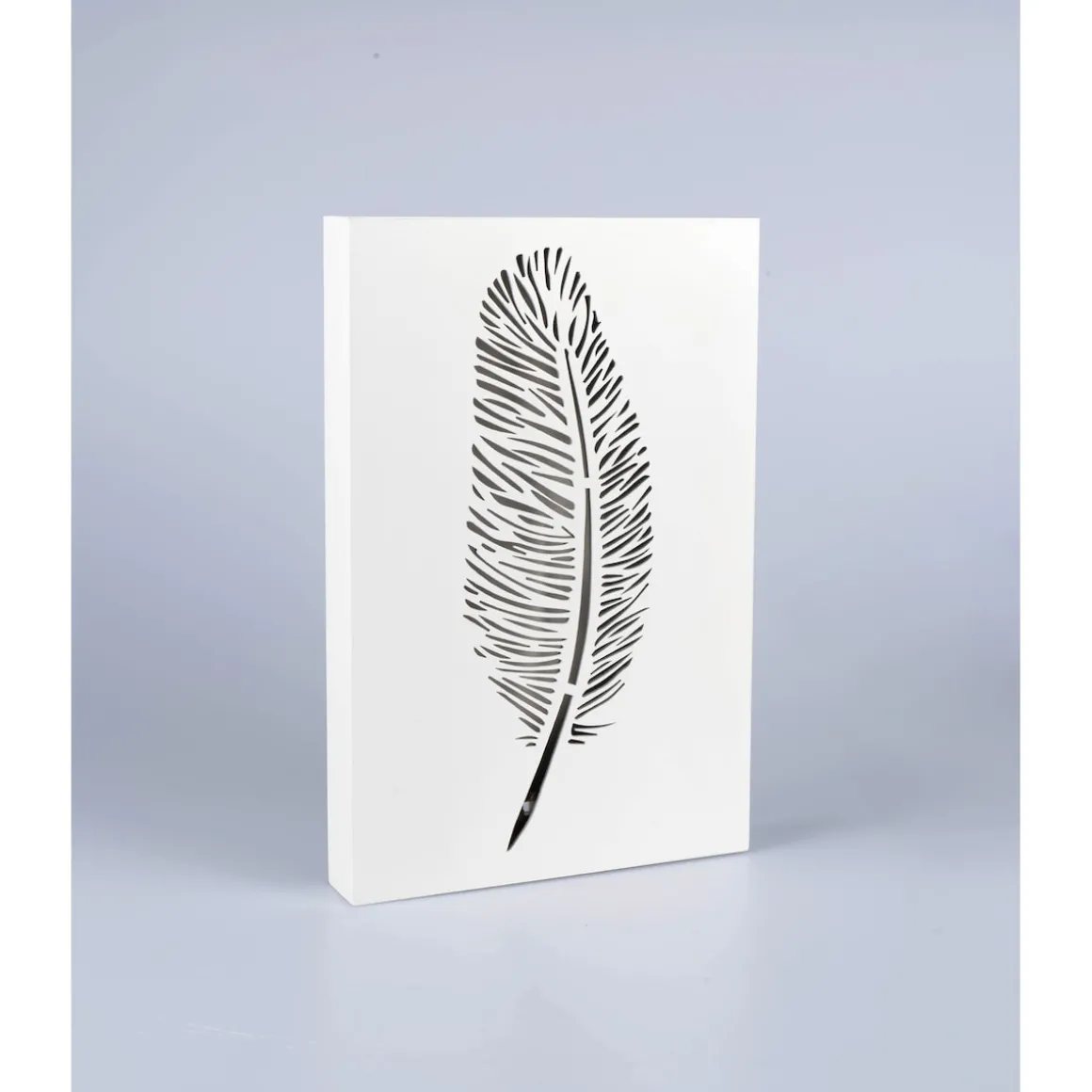 LED-Bild „Leuchtfeder“