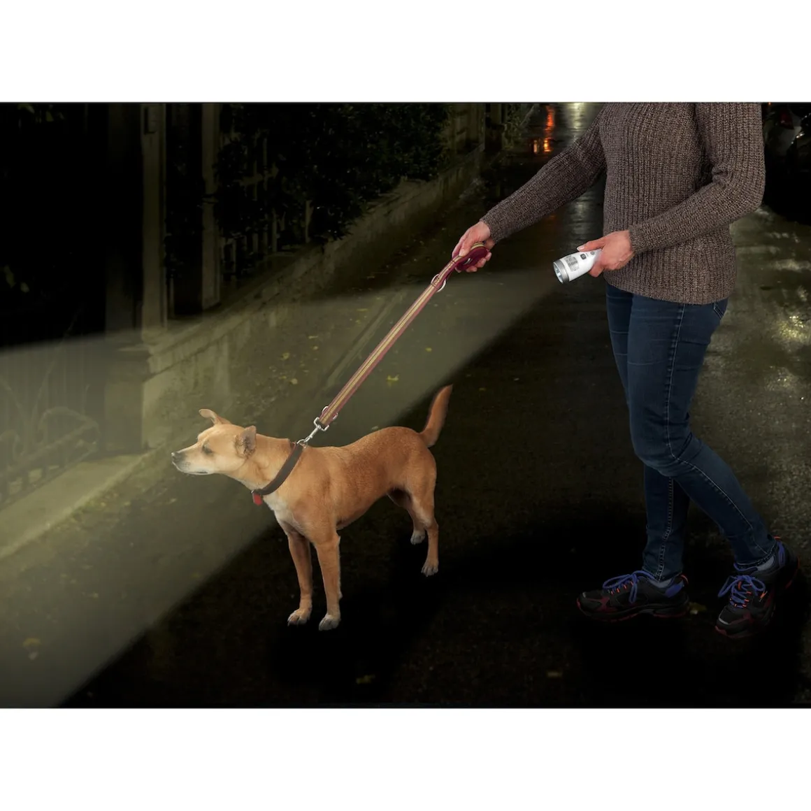 LED-Nachtlicht "2 in 1"