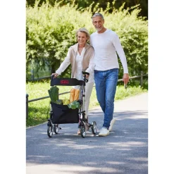 Leichtgewicht-Rollator Premium, Aluminium, mit Rückengurt und Tasche - AT51006 silber