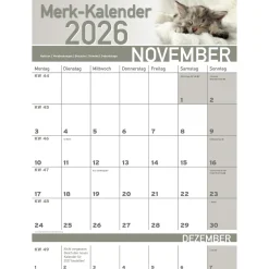 Merkkalender 2026 „Katzenbabies“