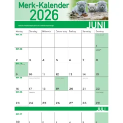 Merkkalender 2026 „Katzenbabies“