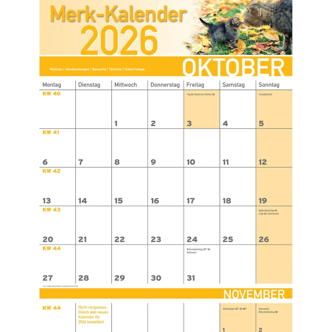 Merkkalender 2026 „Katzenbabies“