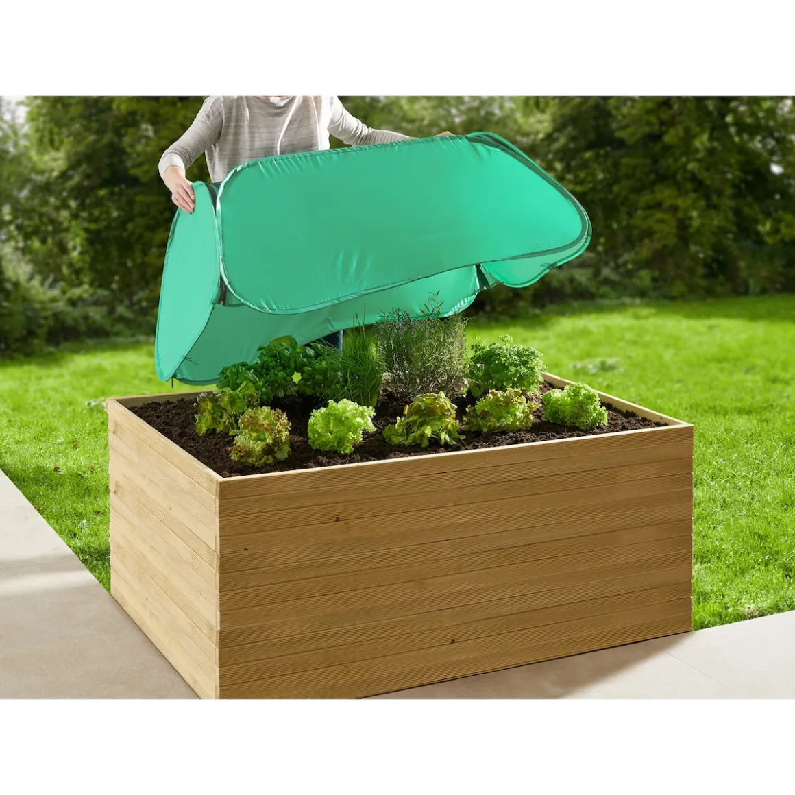 Pop-up Pflanzenschutz