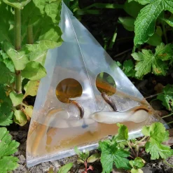 Schneckenfalle, 10 Stück