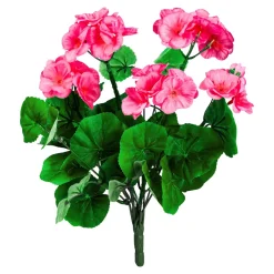 Steck-Geranienbusch pink