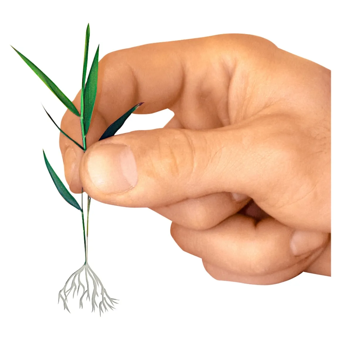 Wurzeltreibfix, 30 g